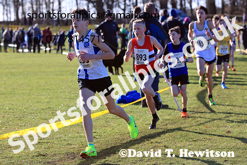 Boys under-13s 2025 Northern Cross Country Champs, Tatton Park, Knutsford, Cheshire. Photo: David T. Hewitson/Sports for All Pics
